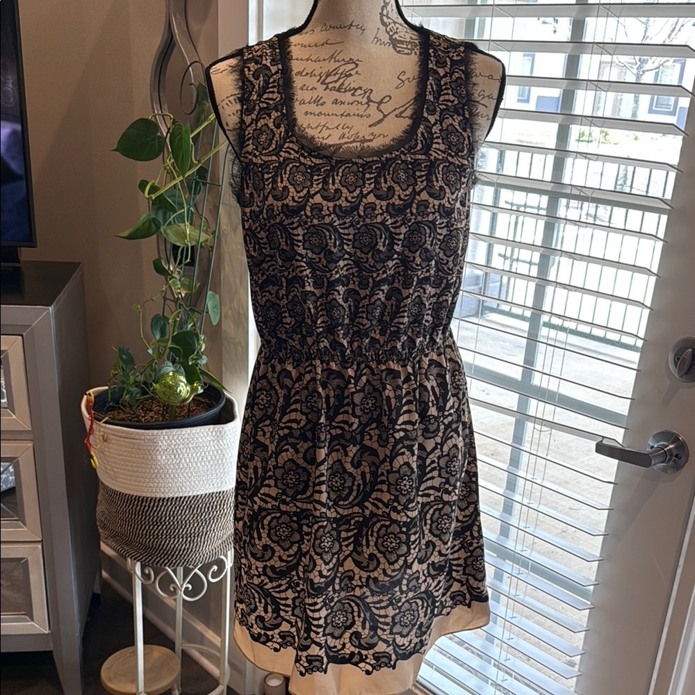 Elegant Black Lace Dress